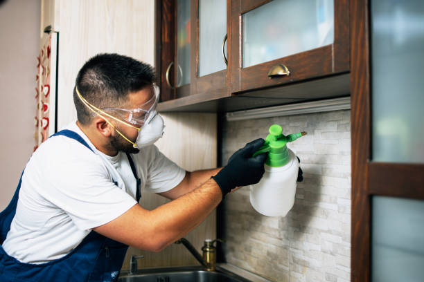 Best Best Pest Control Companies  in Dover, OH