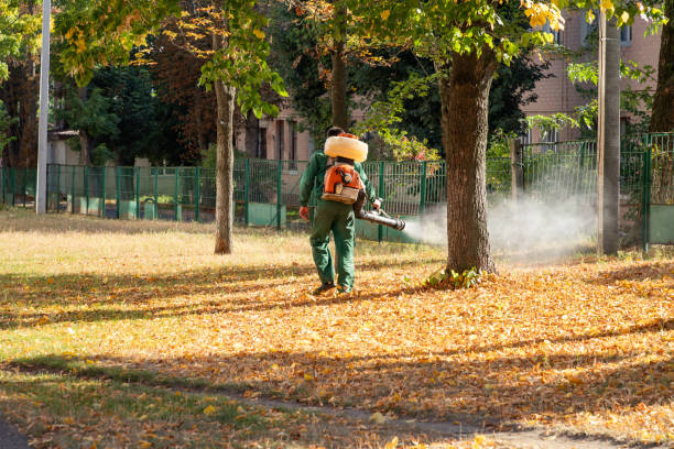 Best Pest Removal Services  in Dover, OH