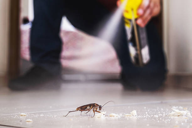 Best Emergency Pest Control  in Dover, OH